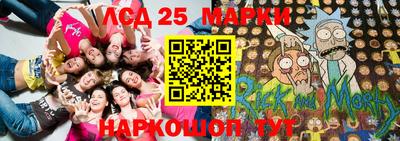 гидра Коммунар