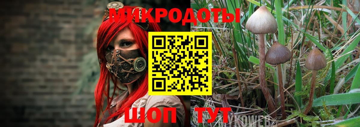 Костомукша  закладки  Вход с VPN  Галлюциногенные грибы мухоморы 